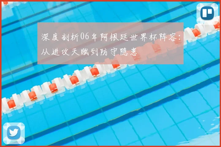 深度剖析06年阿根廷世界杯阵容：从进攻天赋到防守隐患