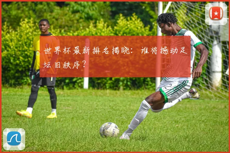 世界杯最新排名揭晓：谁将撼动足坛旧秩序？