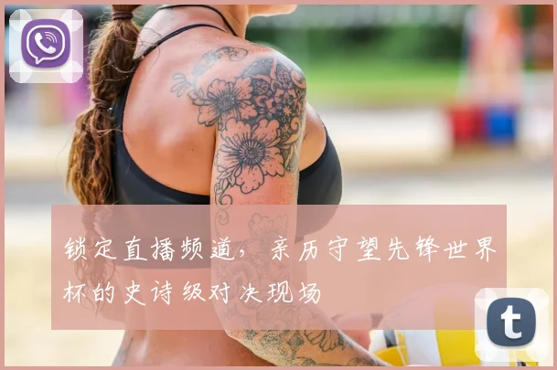 锁定直播频道,亲历守望先锋世界杯的史诗级对决现场