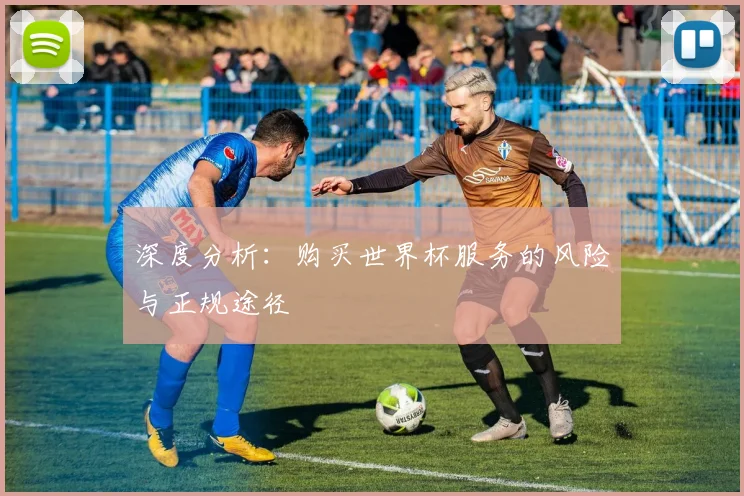 深度分析：购买世界杯服务的风险与正规途径
