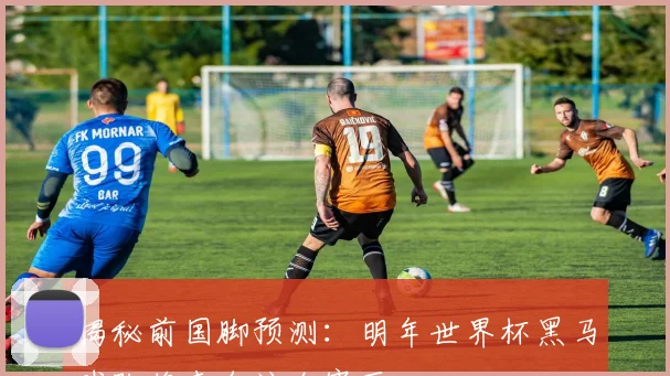 揭秘前国脚预测：明年世界杯黑马球队将来自这个赛区